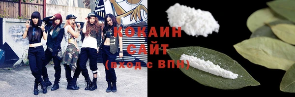 дживик Верхний Тагил