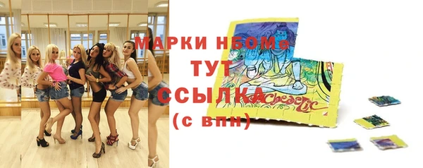 дживик Верхний Тагил