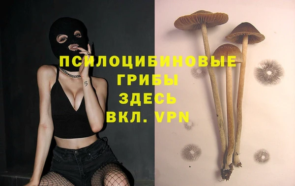 таблы Верея