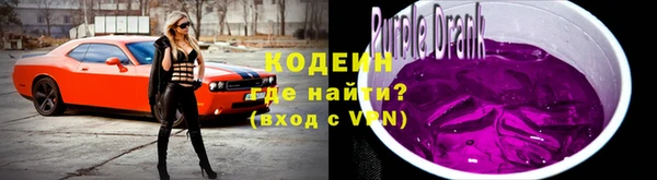 дживик Верхний Тагил