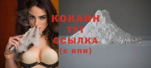 дживик Верхний Тагил