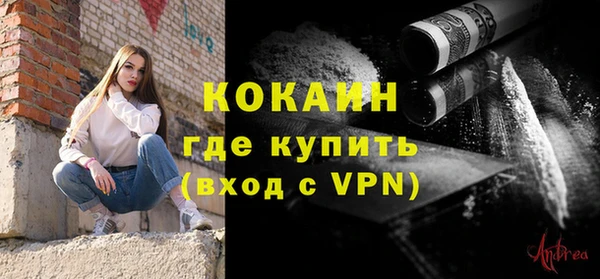 дживик Верхний Тагил